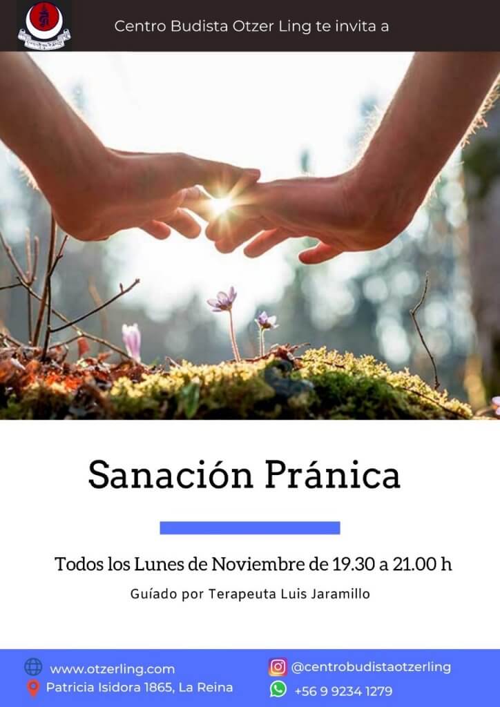 Sanacion Pranica