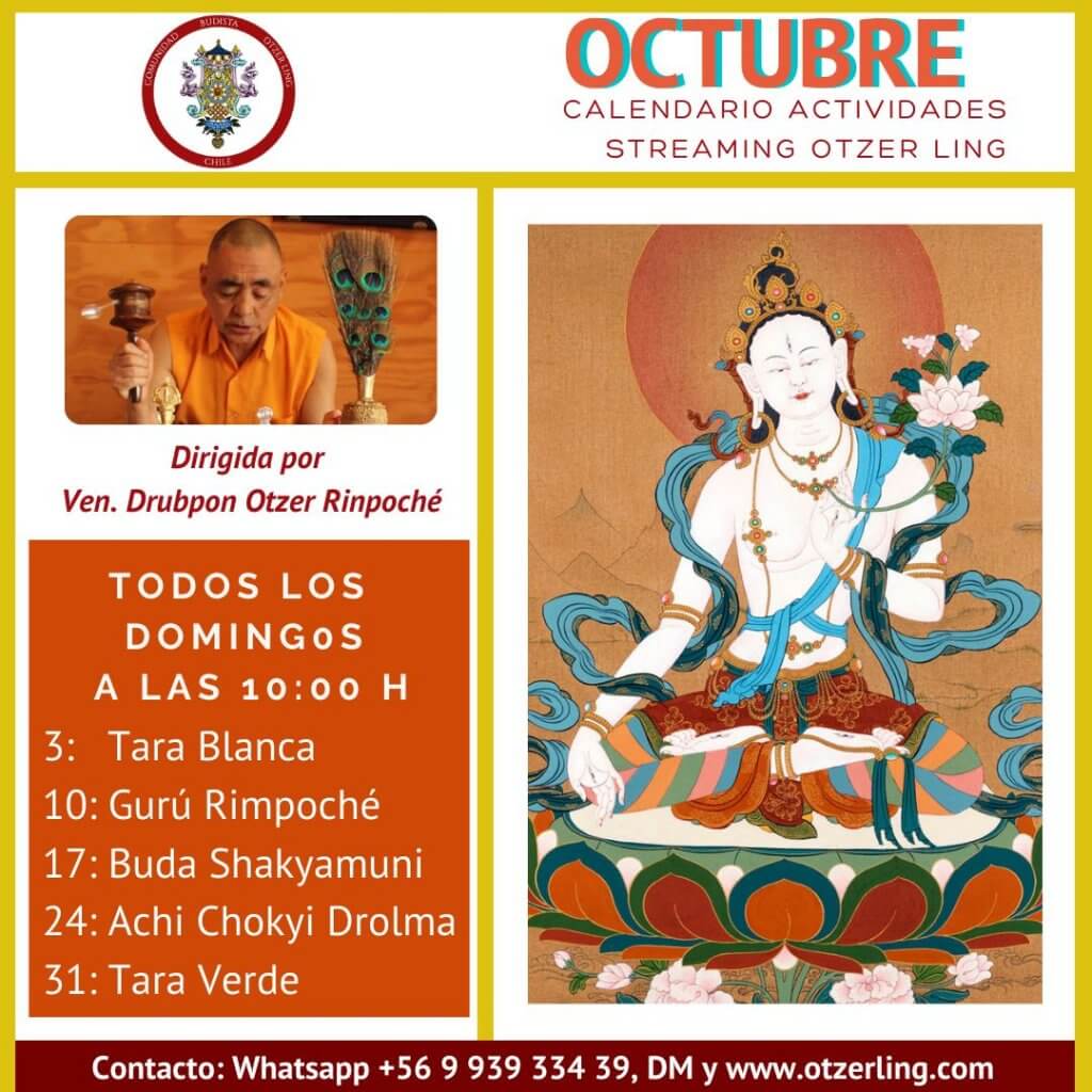 Octubre: Prácticas de Meditación Budistas dirigidas por Ven. Drubpon Otzer Rimpoché
